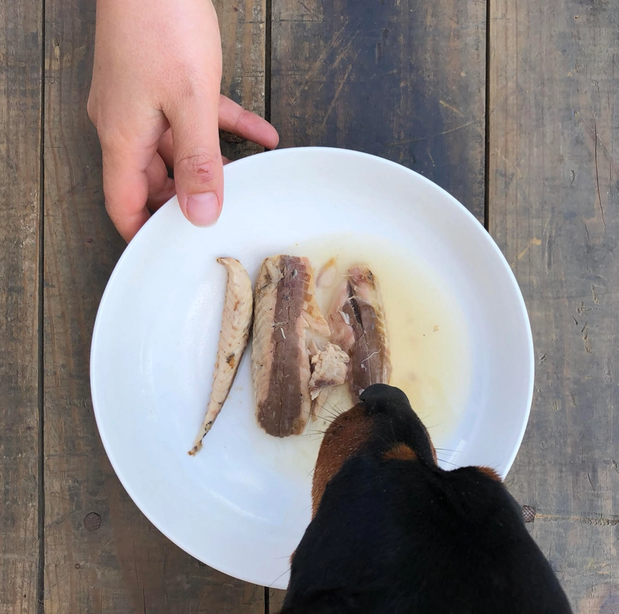 Complément alimentaire - Filets de maquereau naturel | Muzon