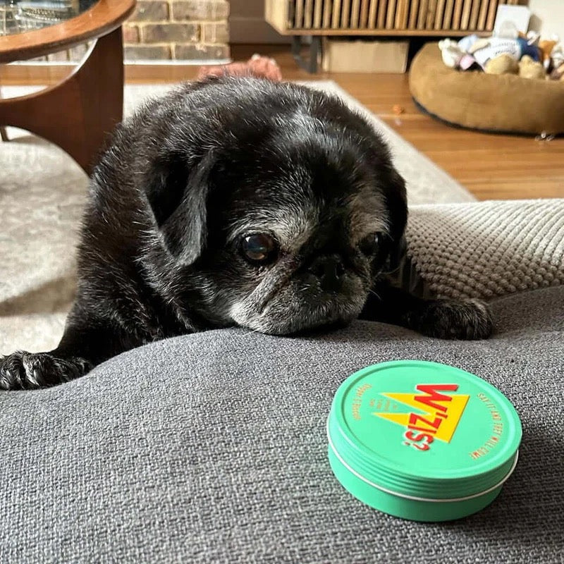 Lamb - Natural Dog Treats