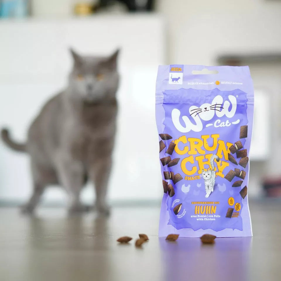 friandiseaupouletpourchat2.webp