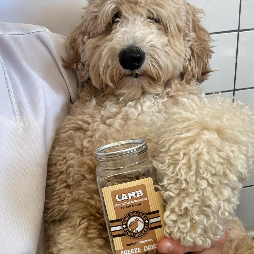 friandises-pour-chiens-agneau-2.png