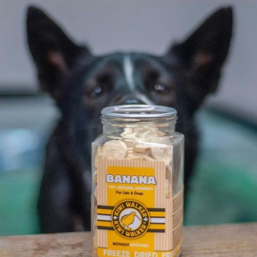 friandises-pour-chiens-bananes-2.png