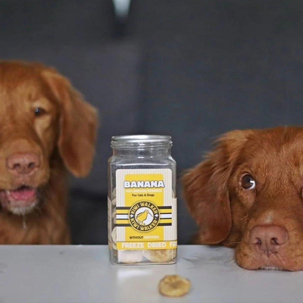 Bananes déshydratées - Friandises naturelles pour chien