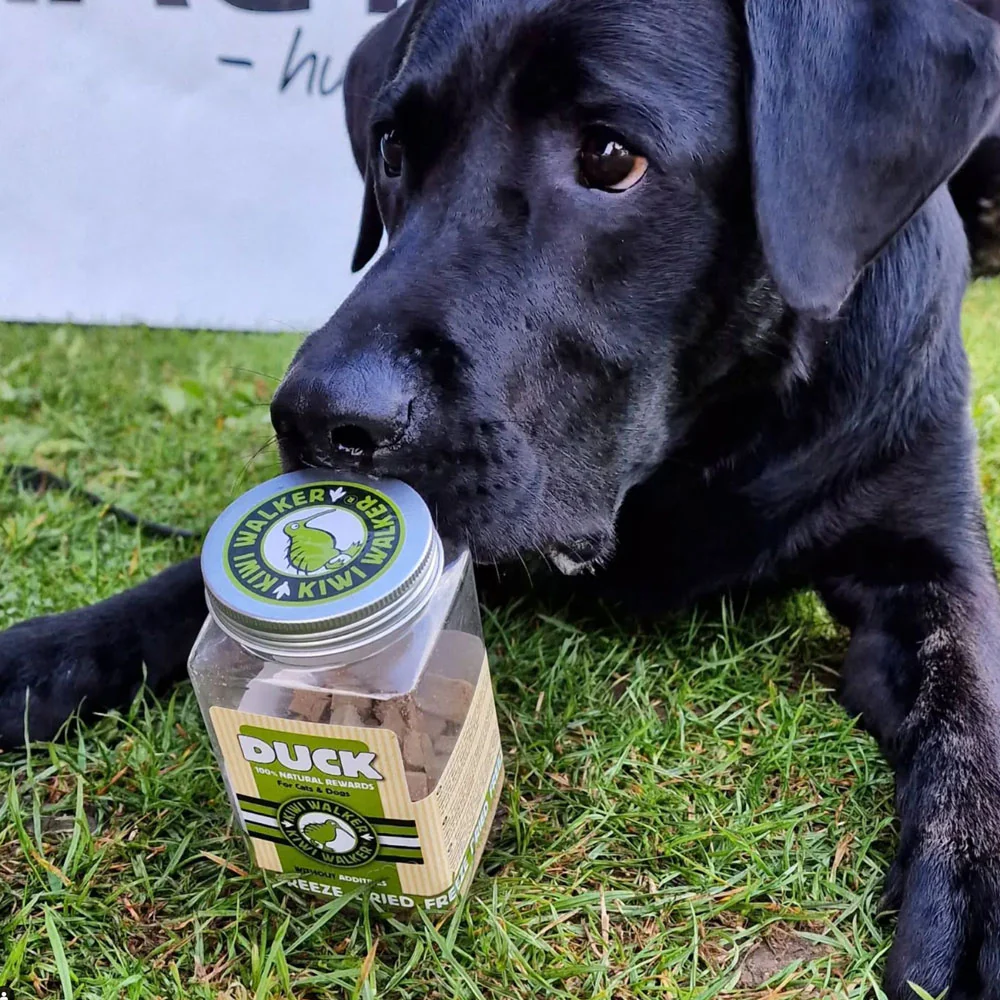 Canard - Friandises naturelles pour chien