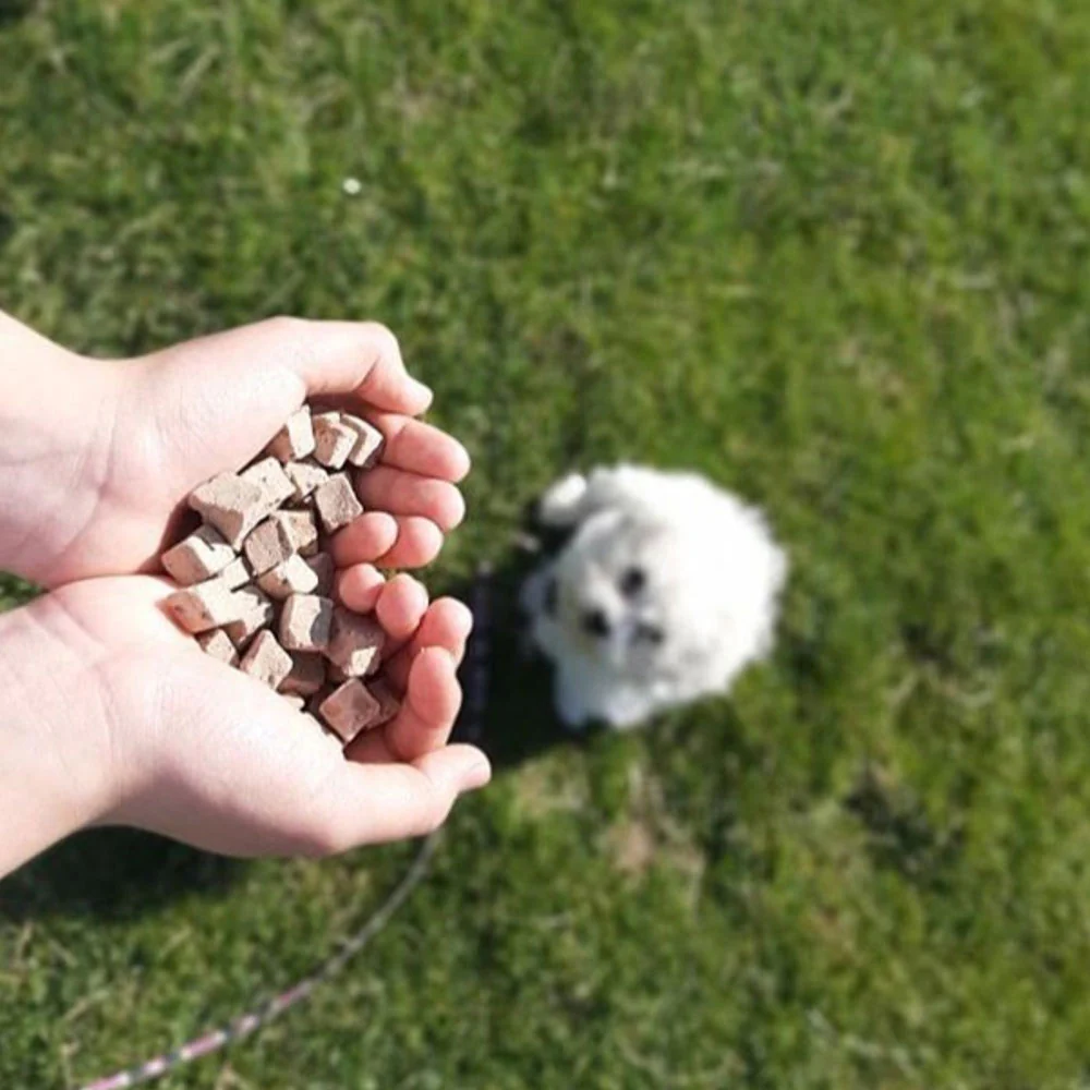 friandises-pour-chiens-foie-d_oie-2.png