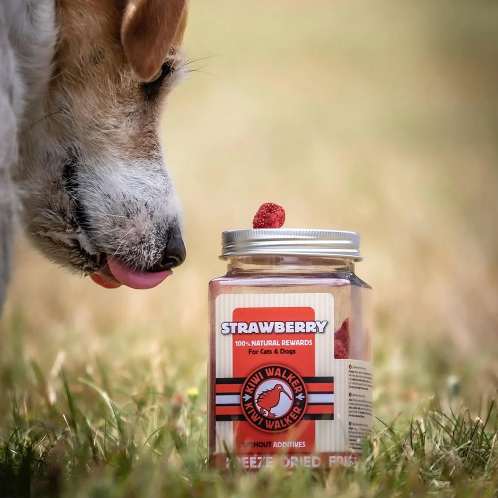 friandises-pour-chiens-fraises-2.png