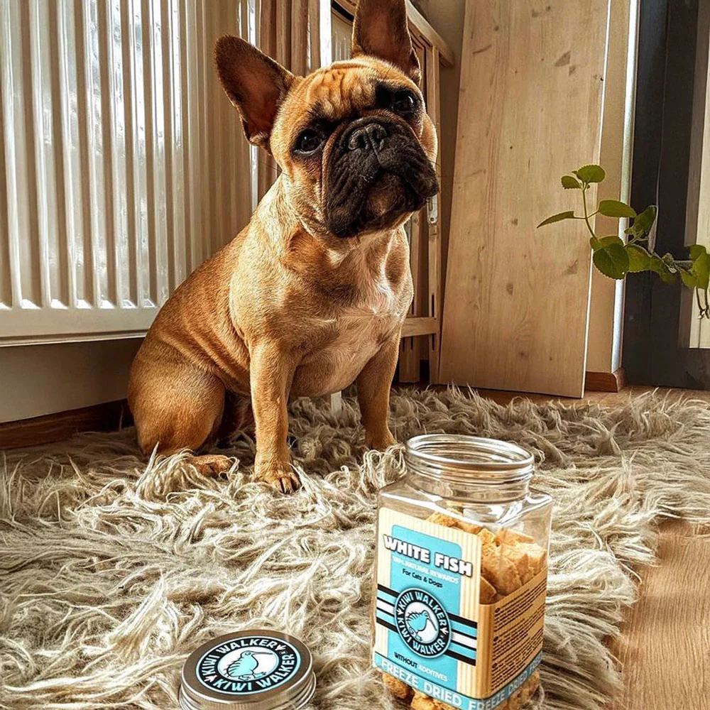 Poissons blancs - Friandises naturelles pour chien et chats