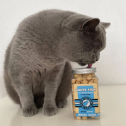 Poissons blancs - Friandises naturelles pour chien et chats