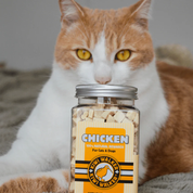 Poulet - Friandises naturelles pour chien