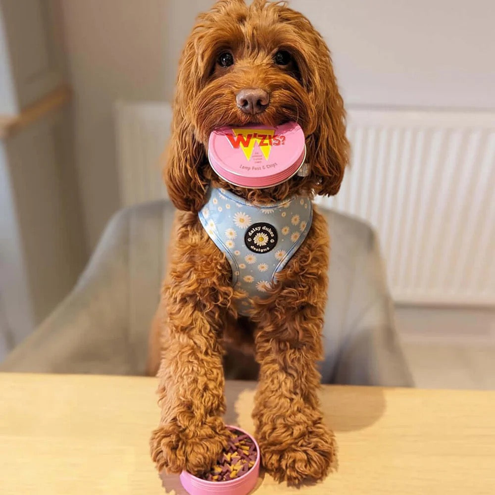 Lamb - Natural Dog Treats