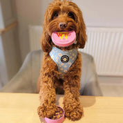 Lamb - Natural Dog Treats