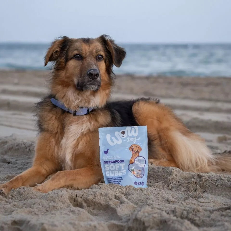 friandisesaupouletchiens2.webp
