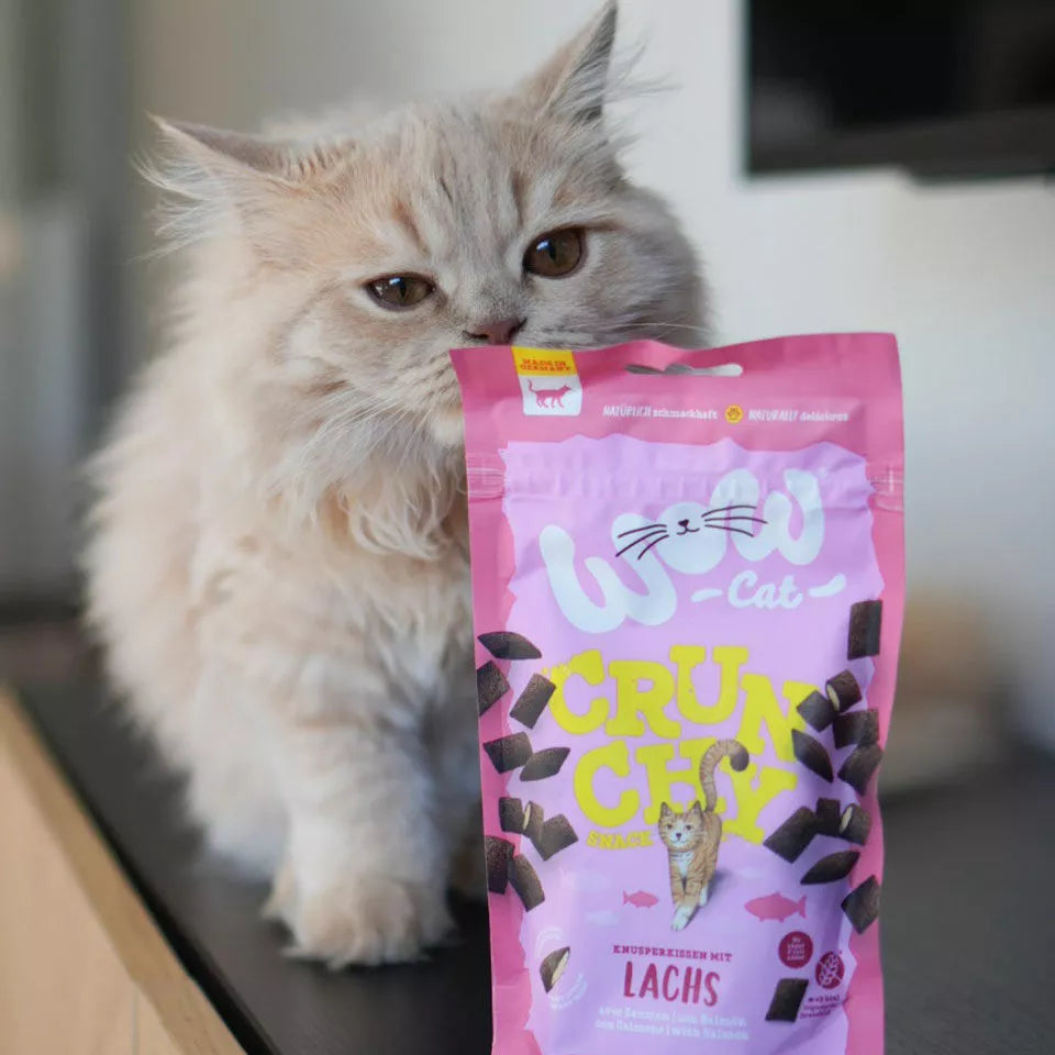 Saumon - Friandise pour chat
