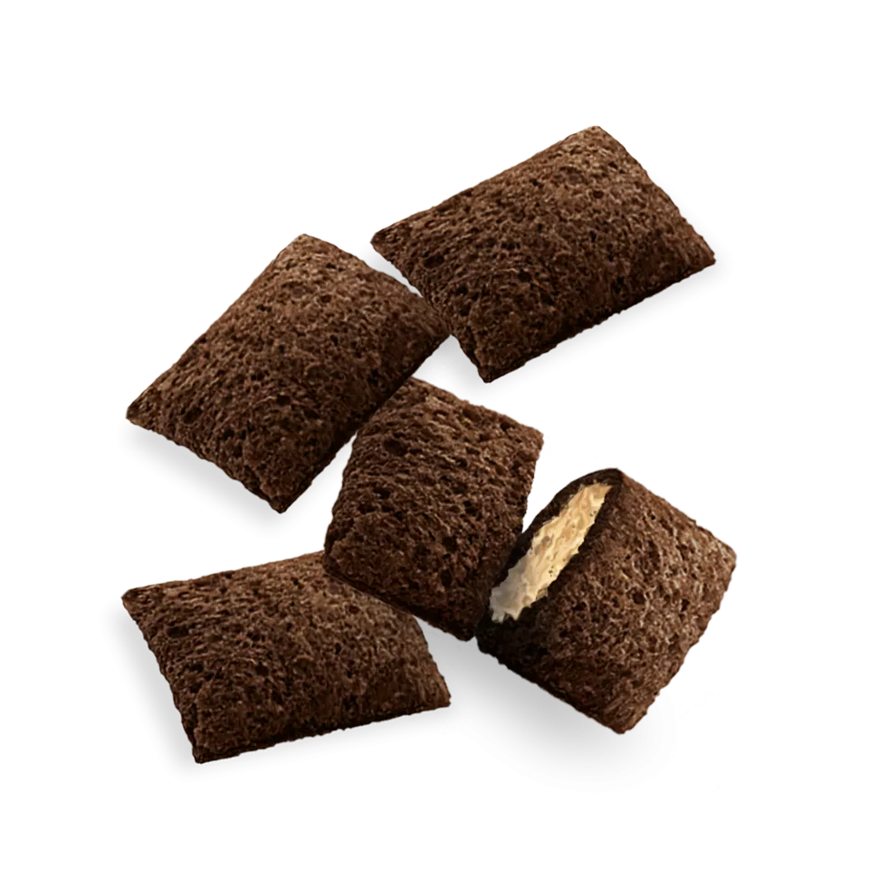 Saumon - Friandise pour chat