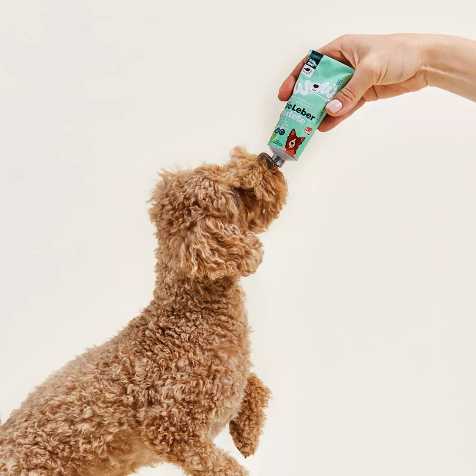 friandisesentubeaupatedefoiechiens2.webp