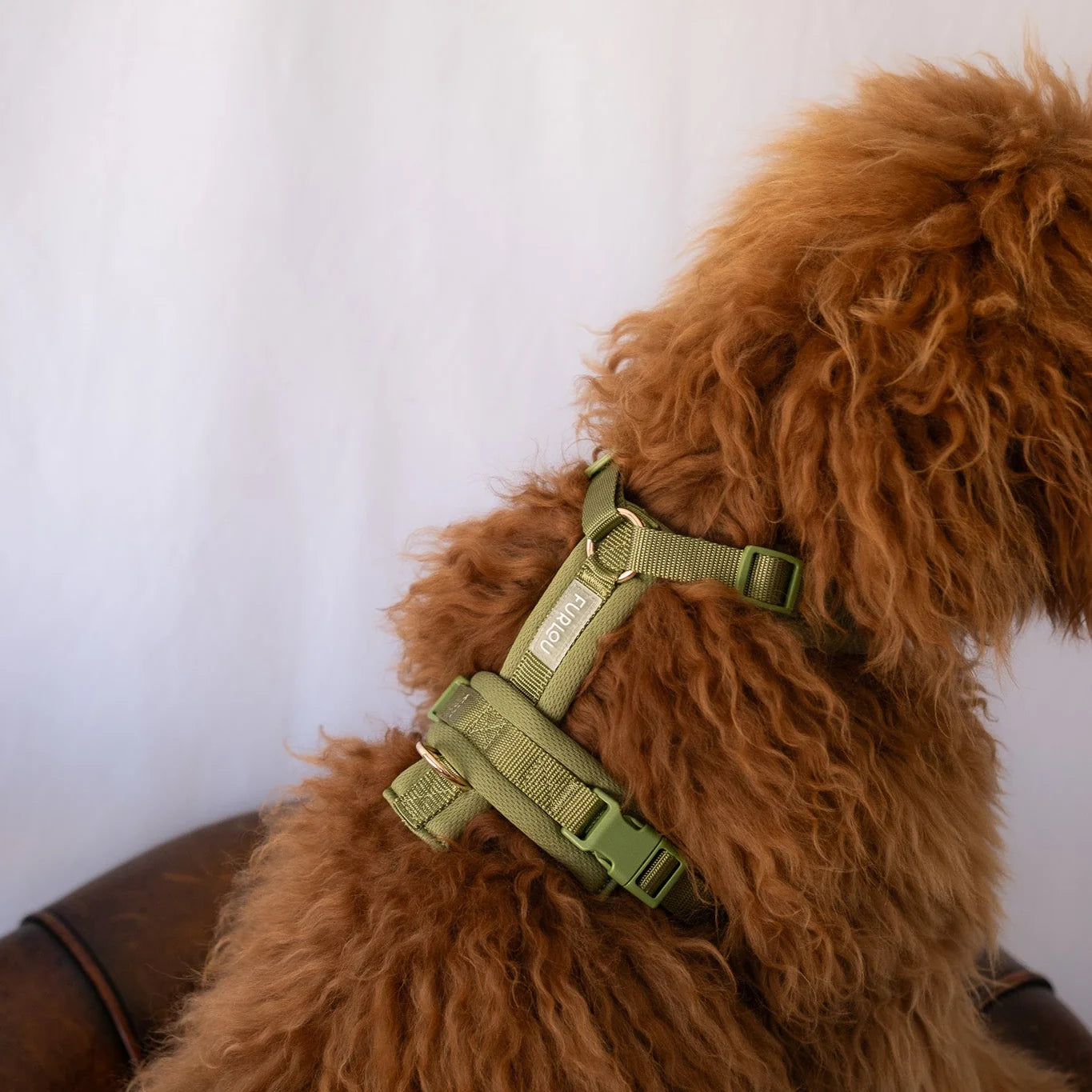 furlou_confort_vert_sauge_2.webp