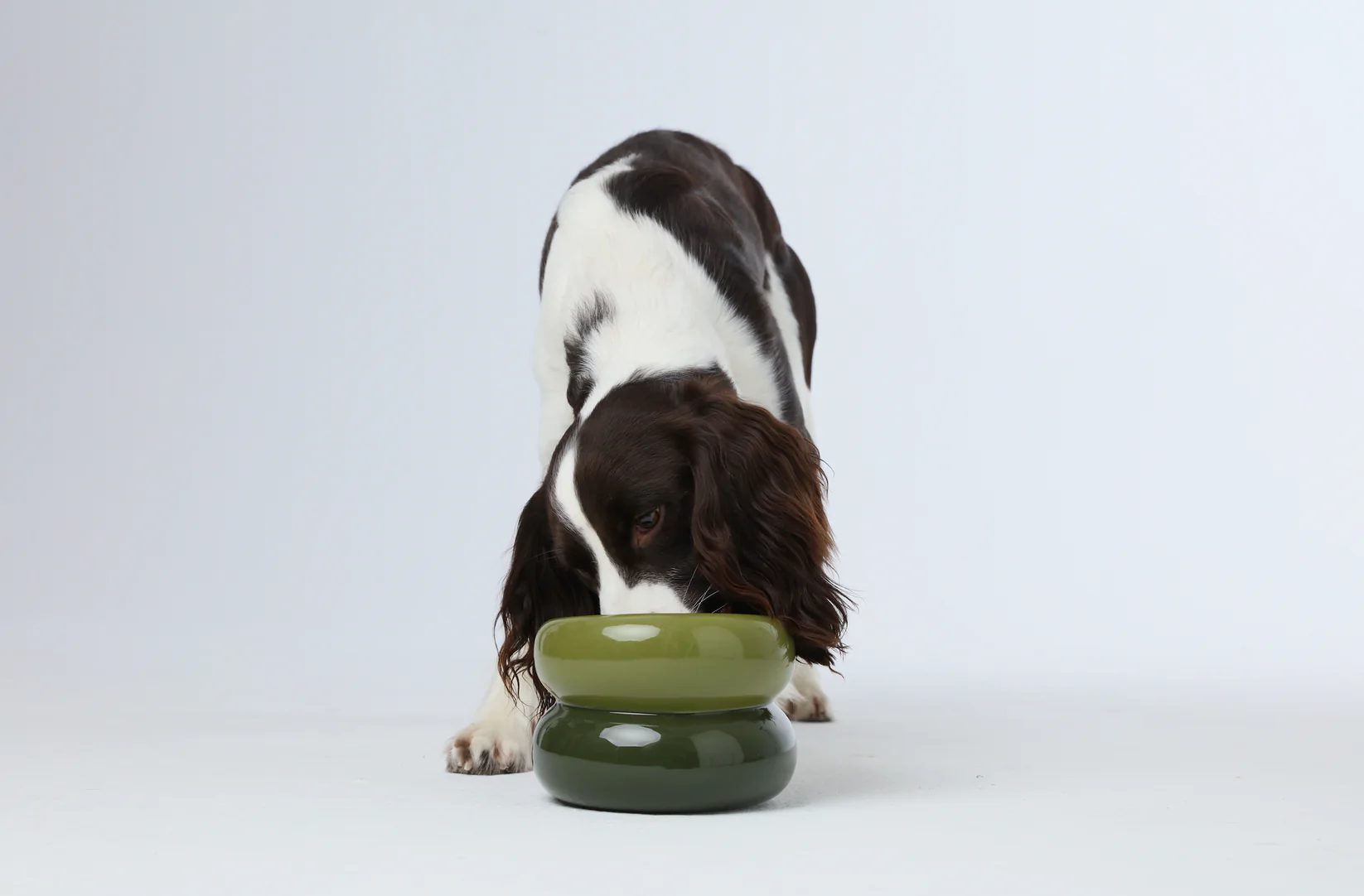 gamelle-pour-chien-confortable-pehom-2.png