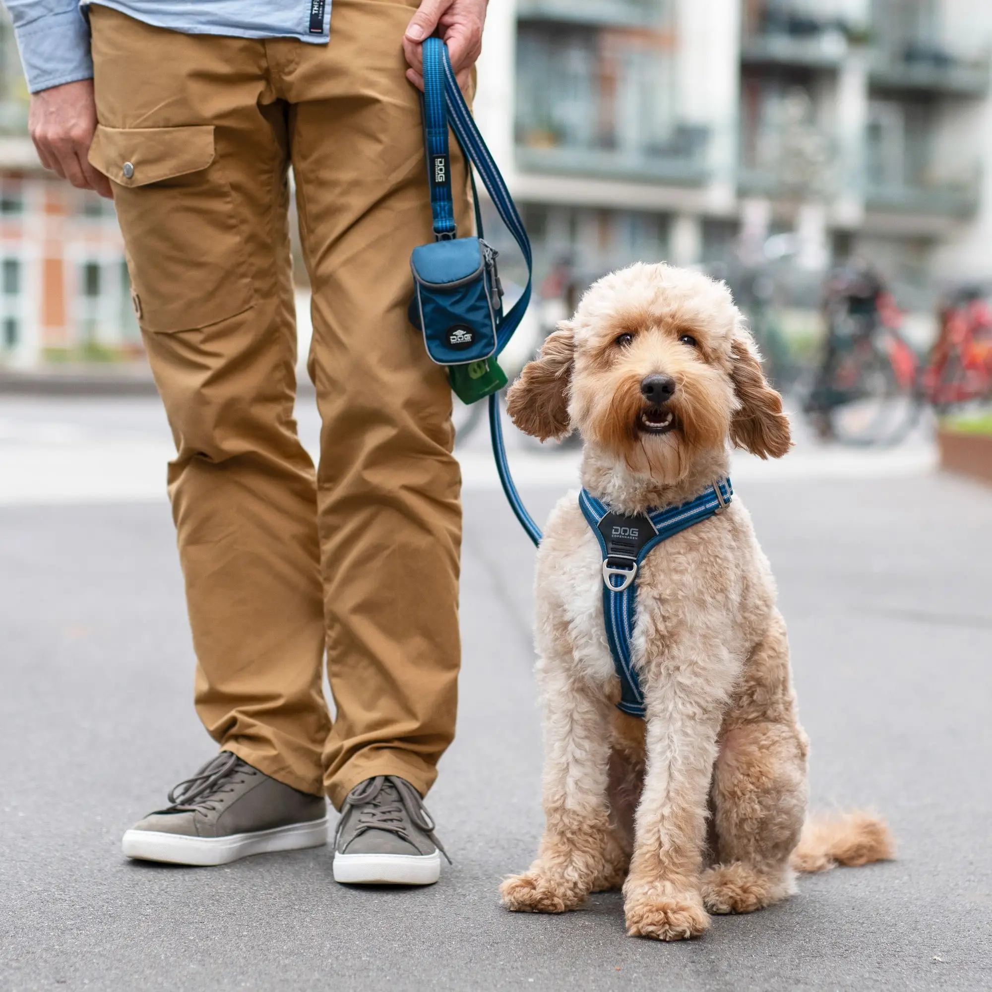 harnais-dog-copenhagen-jaune-2.png