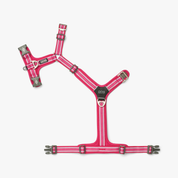 Harnais Comfort Walk Air™ - Rose