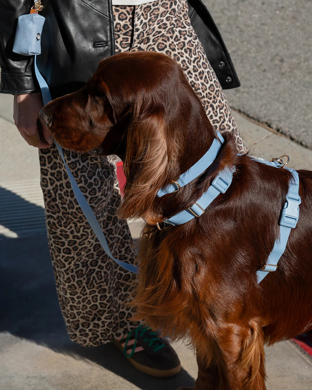 Harnais waterproof - Malibu blue