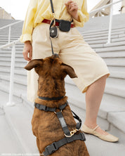 Harnais waterproof - Black