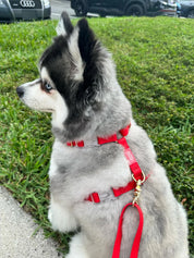 Harnais waterproof - Cherry red