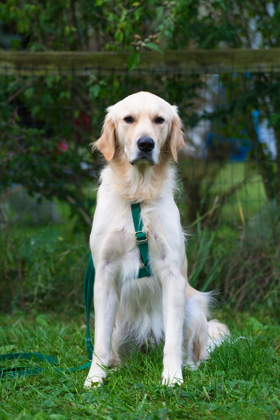 Harnais waterproof - Green cloud