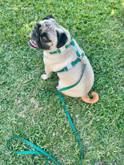 Harnais waterproof - Green cloud