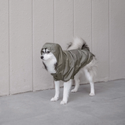 Imperméable chien couleur vert