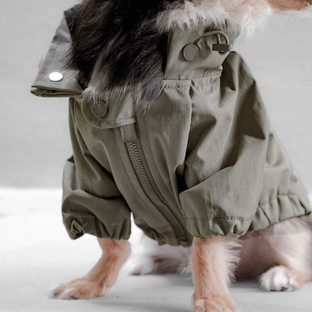 Imperméable pour chien - Fougère-Manteaux et pulls-Lambwolf Collective-Muzon