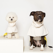 vêtement de pluie pour chien