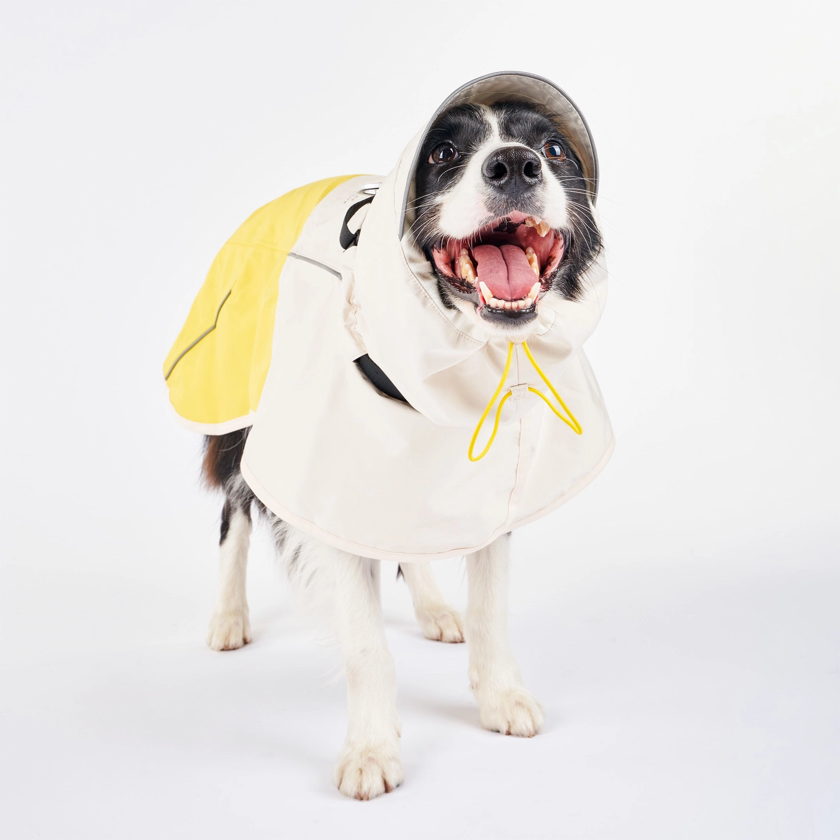 impermeable-sans-manches-pour-chiens-2.png