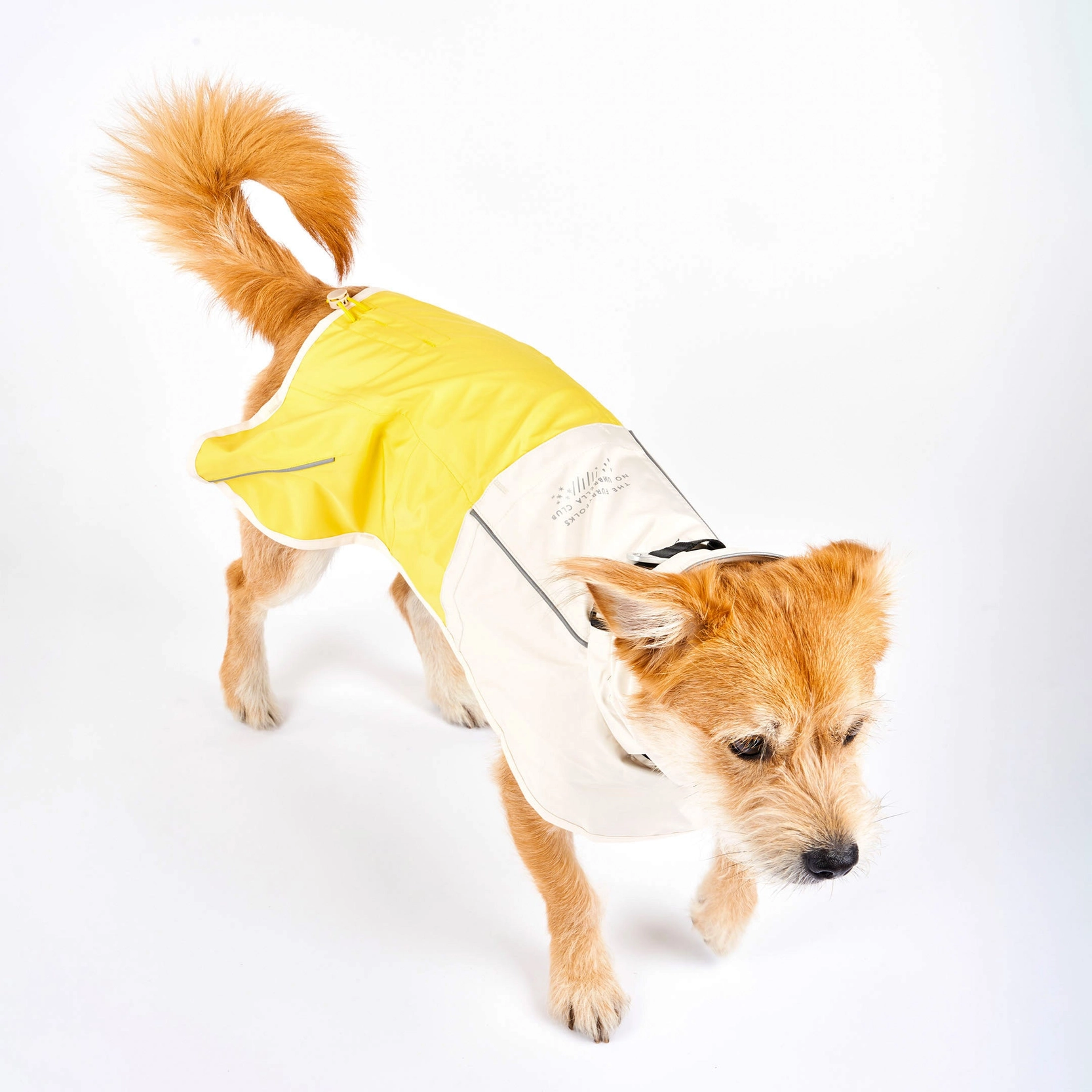 Imperméable pour chien - Blanc & Jaune