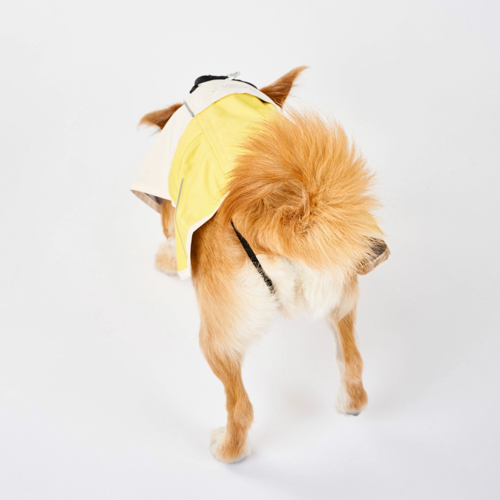 Imperméable pour chien - Blanc & Jaune