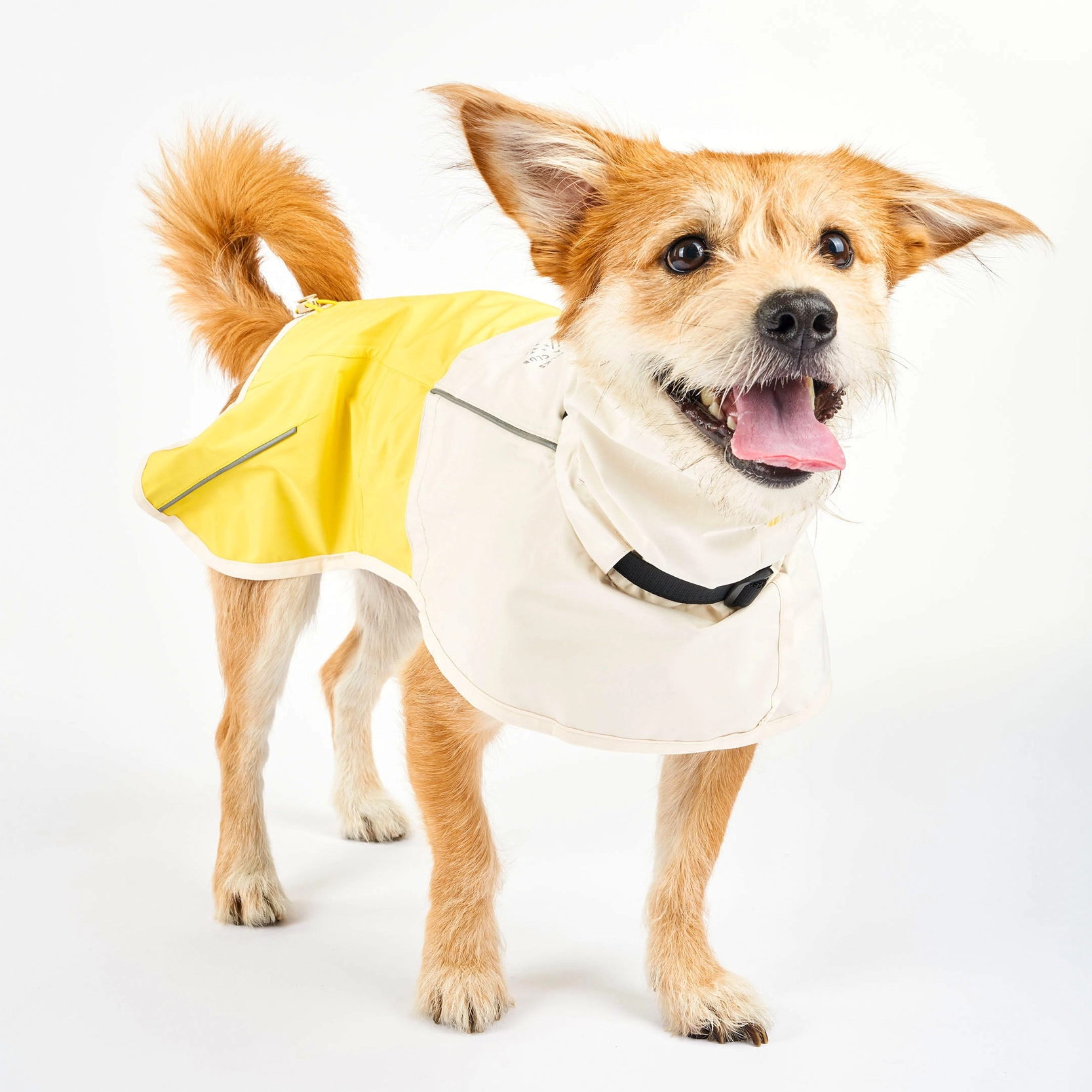 Imperméable pour chien - Blanc & Jaune