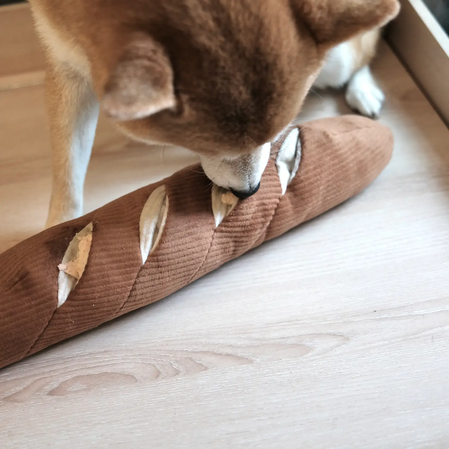 Jouet d'occupation pour chien - Baguette à fouiller