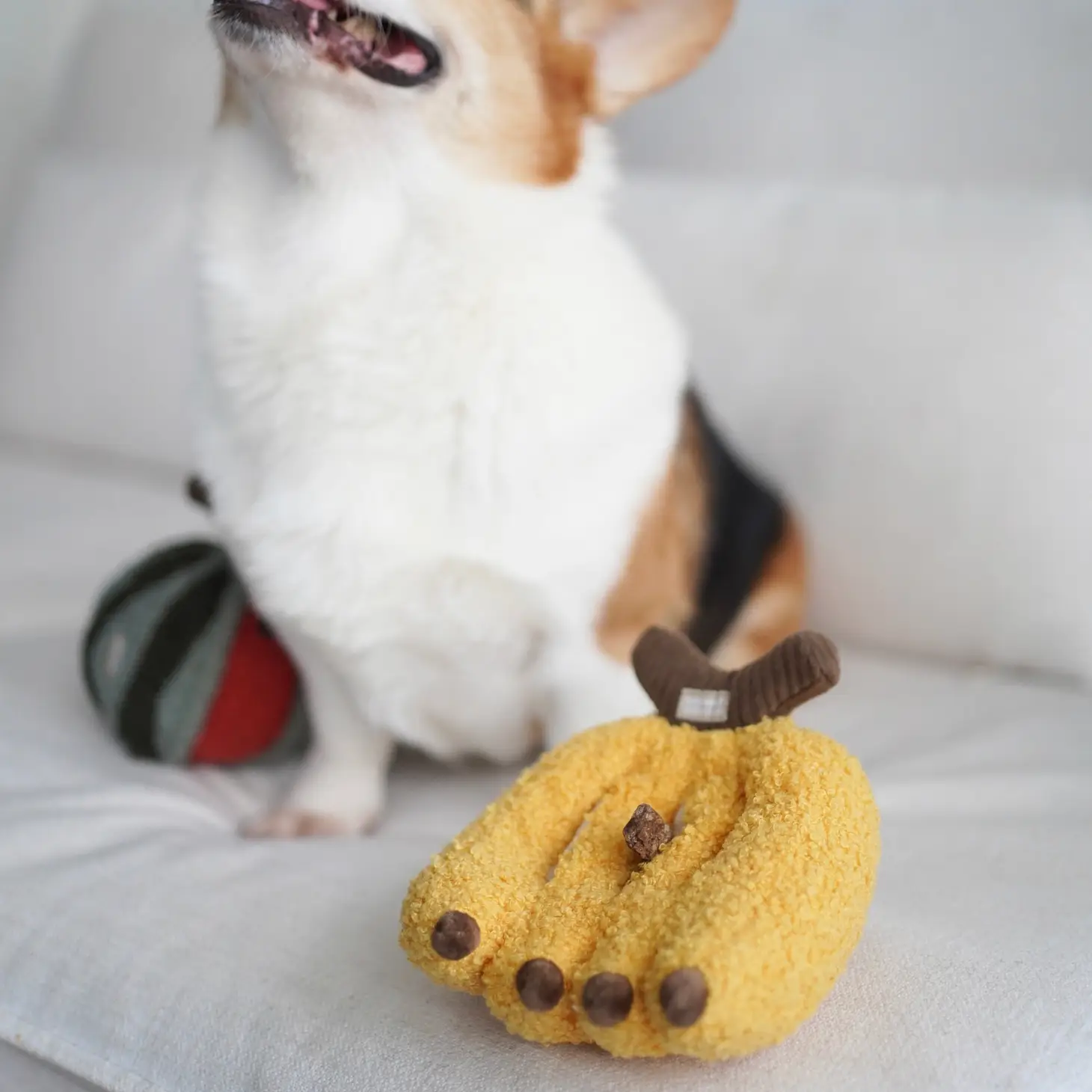 Banane pour chien - Divertissement interactif pour compagnon à quatre pattes | Marque Muzon