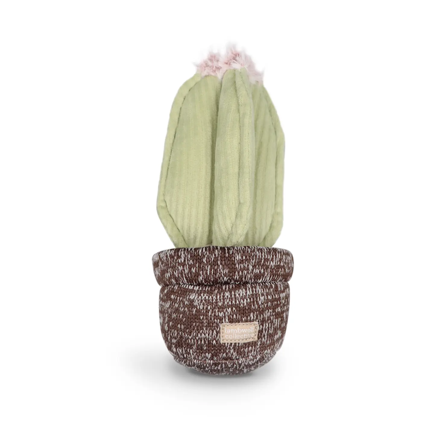 Jouet de fouille - Le cactus-Jouets de fouille-Muzon