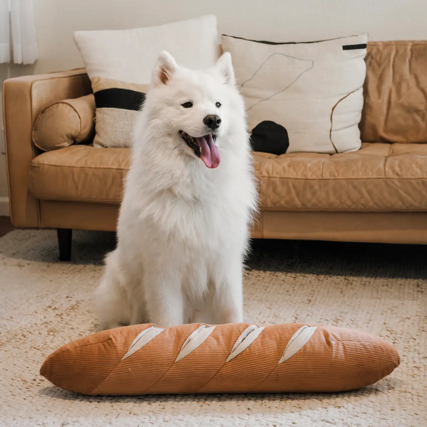 Jouet de fouille - La baguette XXL