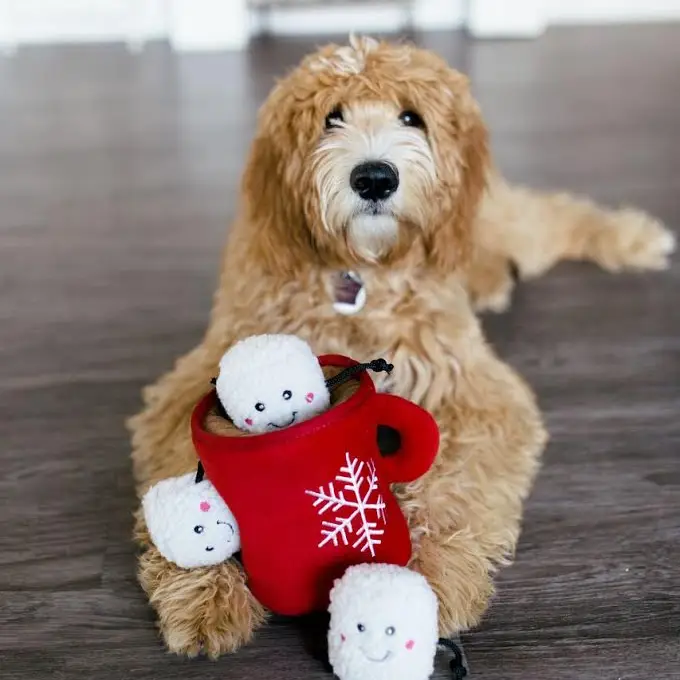 jouet-de-fouille-pour-chiens-chocolat-chaud-2_a5734b7e-8879-4a84-ad1a-f11e60698922.png