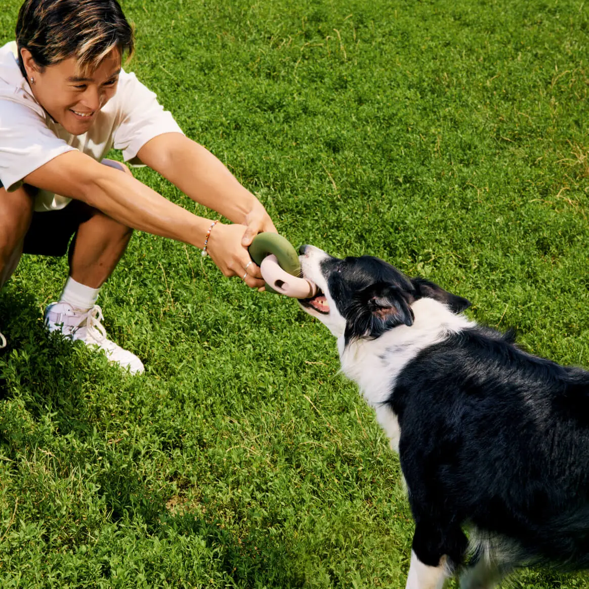 FalconToy rose pour chien - Jeu interactif pour stimuler l'exploration | Marque Muzon