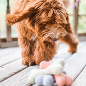 Jouet os pour chien en feutre