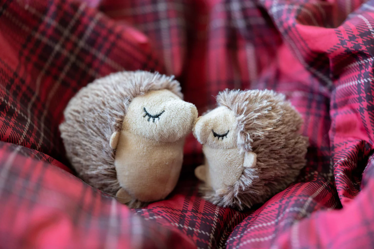 Peluche - Les hérissons