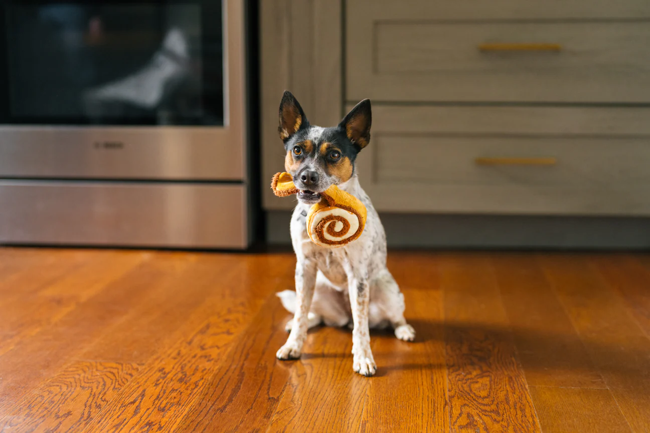 jouet-pour-chien-cinnamon-roll-2.png
