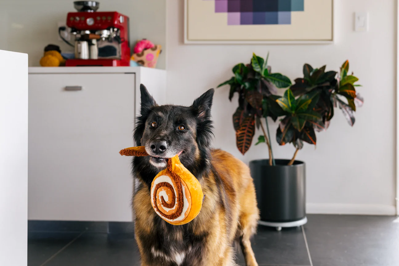 Peluche - Le cinnamon roll