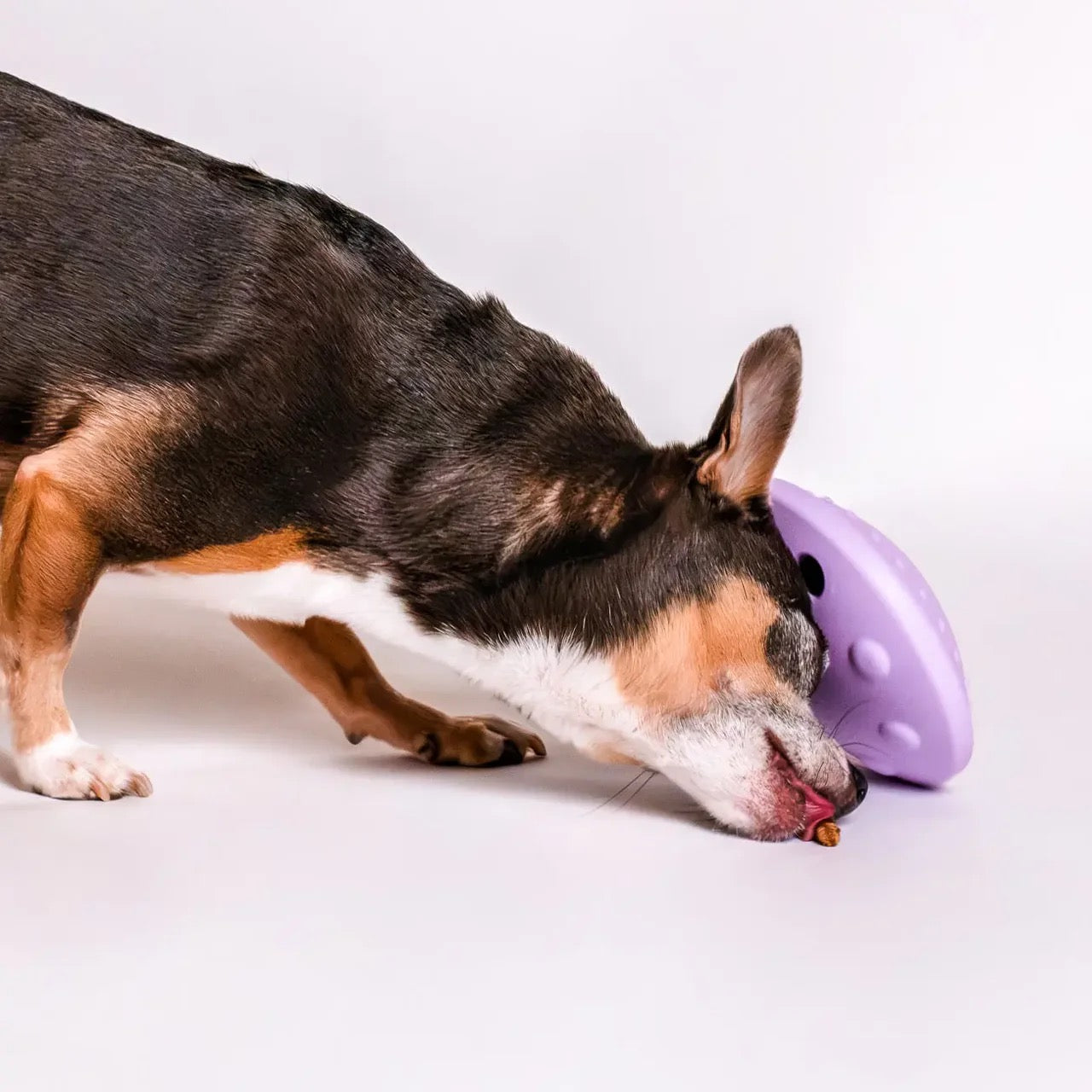 Textured Licking Mat - Yellow