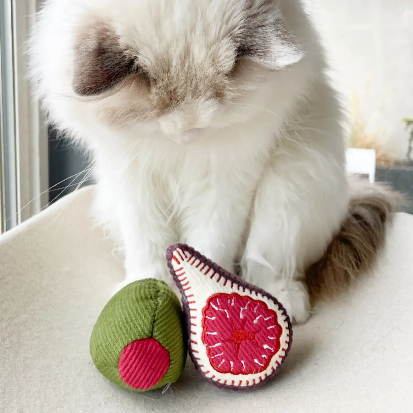 Jouets pour chat - Le set olive et figue