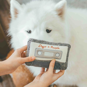 Jouet de fouille - Cassette