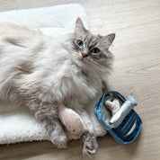 Sardinen-Suchspielzeug für Katzen