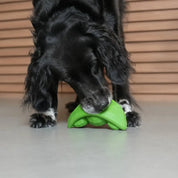 Snuffle Toy - The Bean