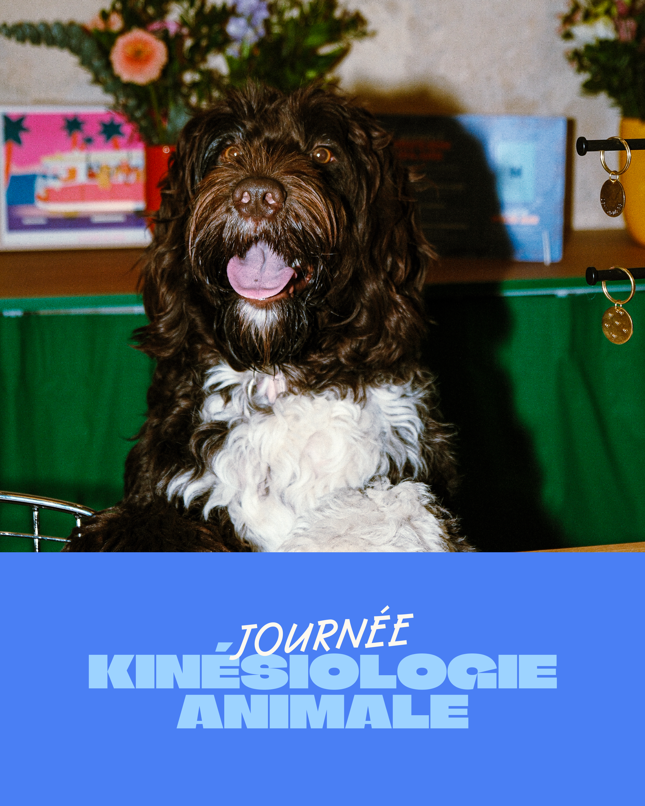 Journée kinésiologie animale avec Maylis - 19.09.2026